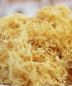 Chà Bông Minh Châu